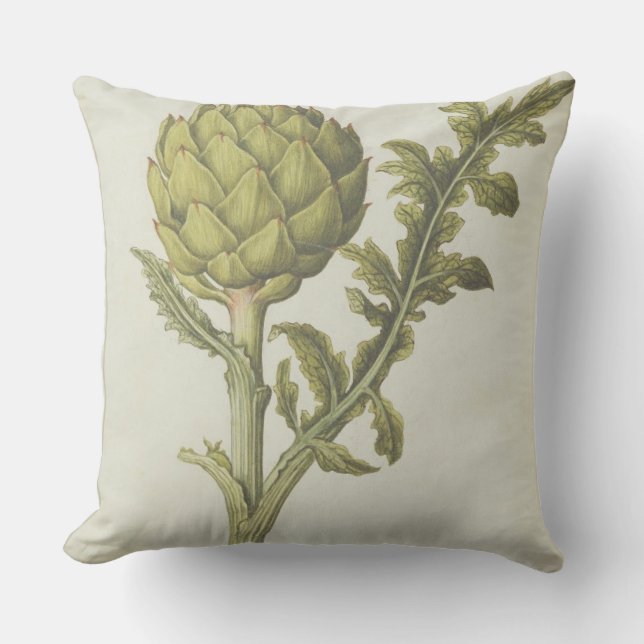 Coussin Artichaut : Scolymus de Cynara, c.1568 (Recto)