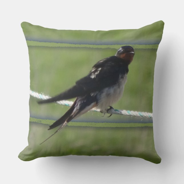 Coussin Asseyez-vous Épervier d'hirondelle (Recto)