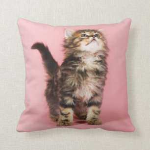 Coussin Assez dans le chaton rose