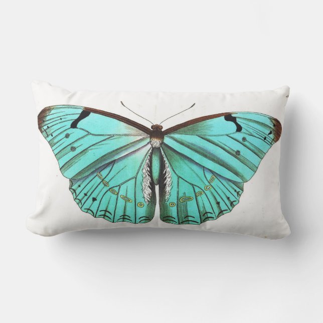 Coussin assez élégant de papillon de turquoise (Recto)