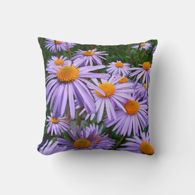 Coussin Aster tongolensis ~ Jeter PIllow (Recto)