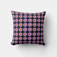 Asters pourpres 2