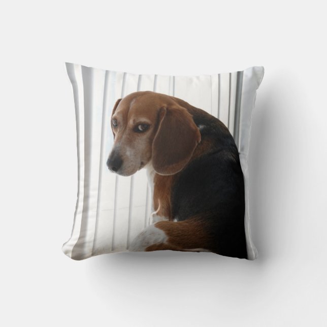 Coussin attitude de beagle (Recto)