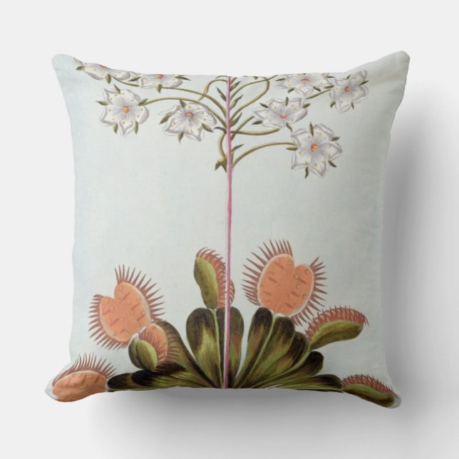 Coussin Attrape-mouche de Vénus, plat 84, de 'collection (Recto)