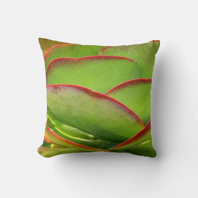 Coussin au néon de cactus (Recto)