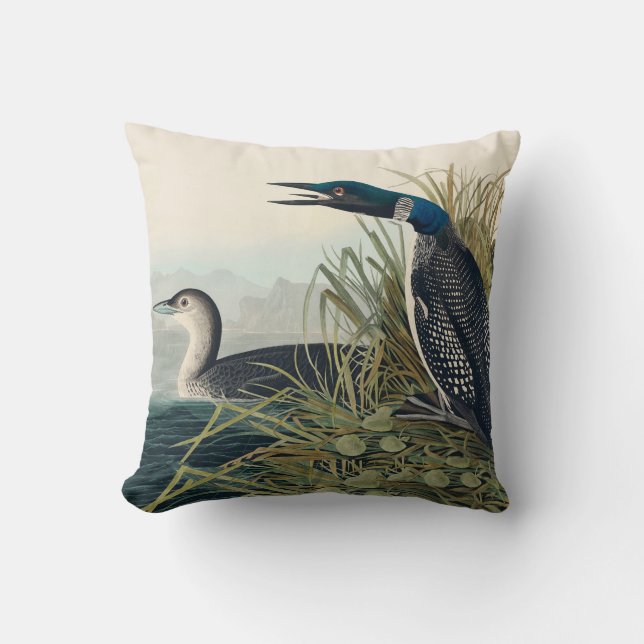 Coussin Audubon Bird Loon Diver Classic (Recto)