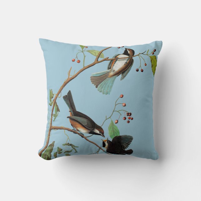 Coussin Audubon : Chickadee (Recto)