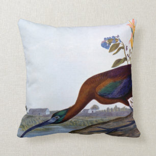 Coussin Audubon : IBIS brillant