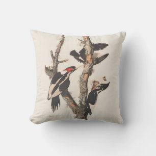 Coussin Audubon Ivory-Billed