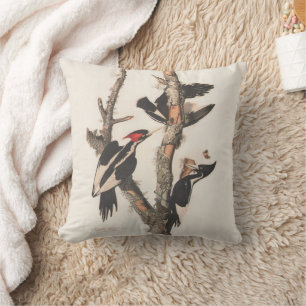 Coussin Audubon Ivory-Billed