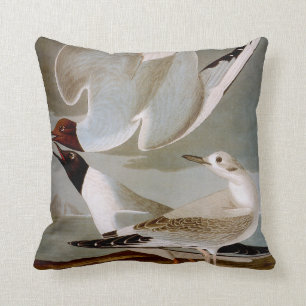 Coussin Audubon : La mouette de Bonaparte