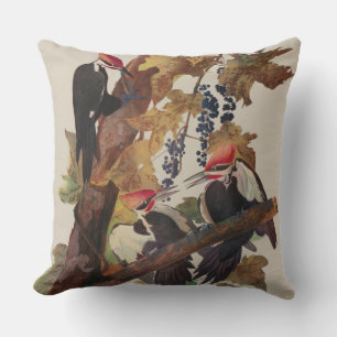 Coussin Audubon Peinture d'Oiseaux Pic Pilé