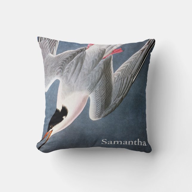 Coussin Audubon : Sterne rose (Recto)