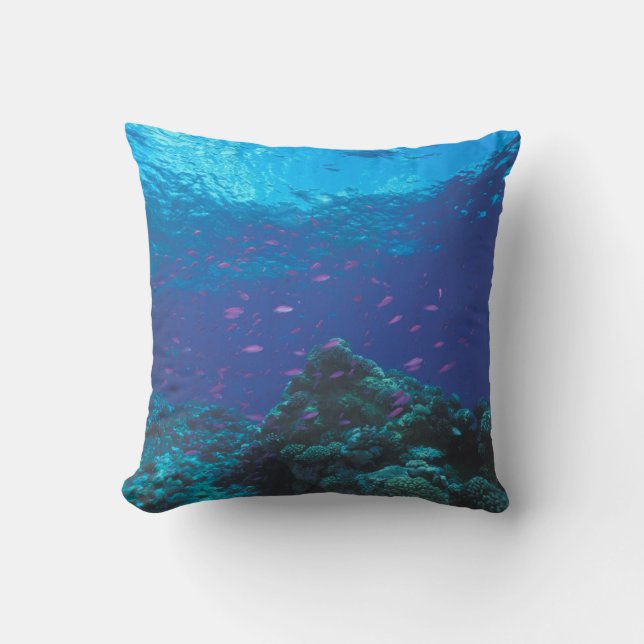 Coussin Australie, Grande Barrière de corail. Fourmillant  (Recto)