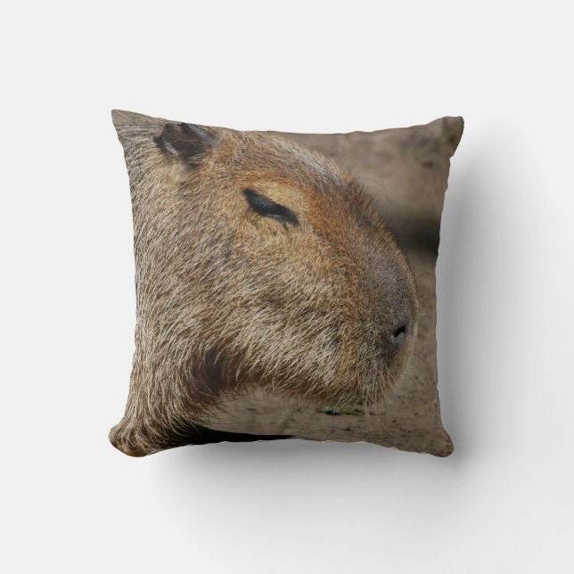 Coussin australien de Capybara (Recto)