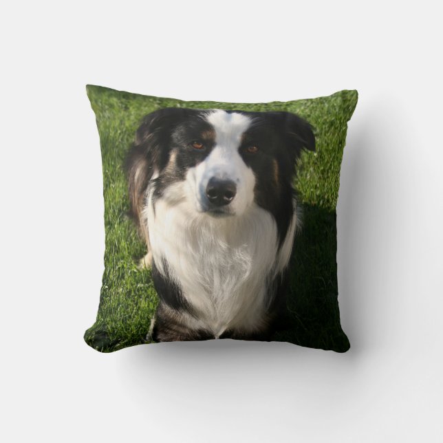 Coussin australien de photo de berger (Recto)