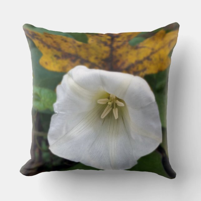 Coussin automne après été (Recto)