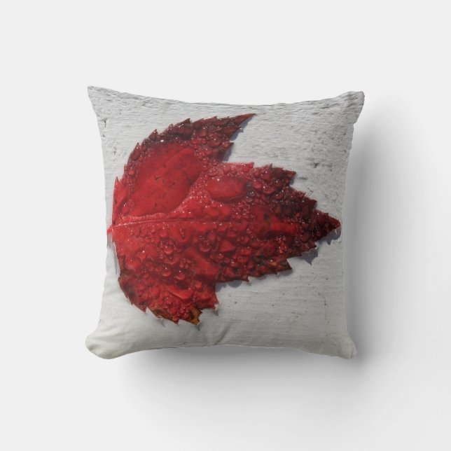 Coussin automne Feuille d'érable rouge sur bois blanc (Recto)