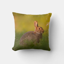 Coussin avec lapin dans la lumière du soir