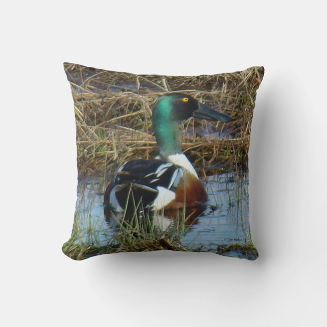 Coussin B26 Canard souchet (Recto)