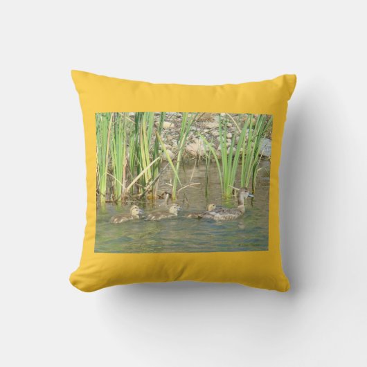 Coussin B34 Mère cane et canetons (Recto)