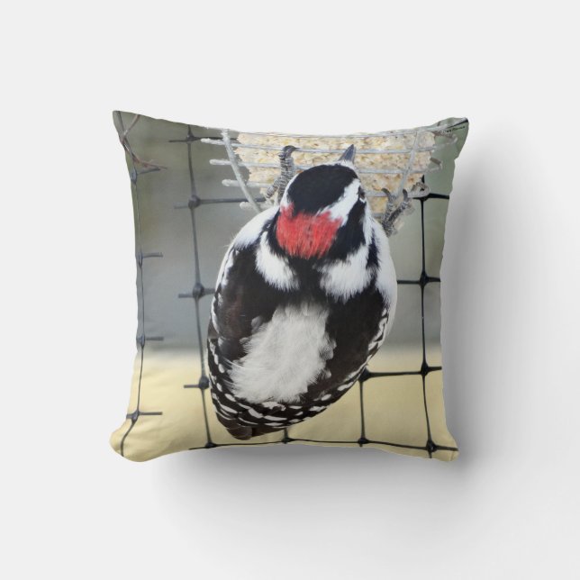 Coussin B53 Downy Woodpecker (Recto)