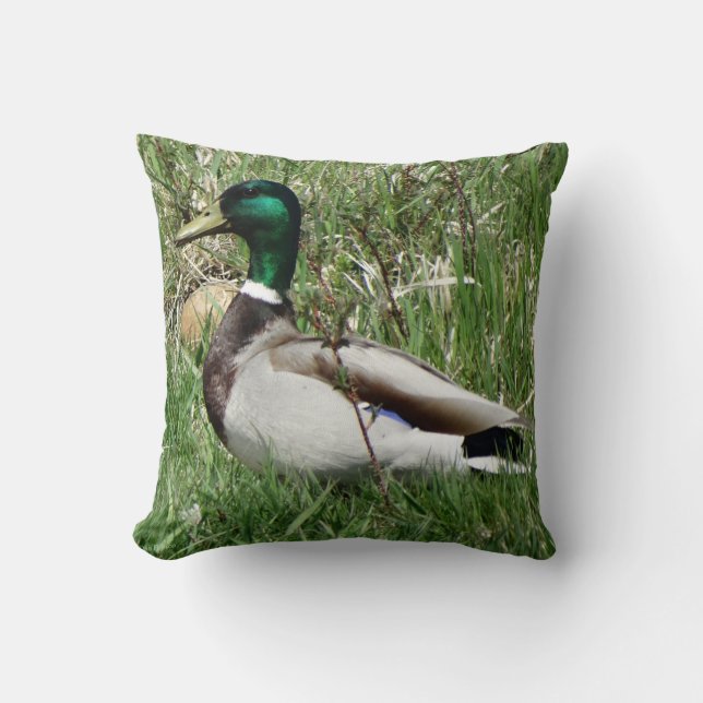 Coussin B55 Duck de Mallard Drake Greenhead dans l'herbe (Recto)