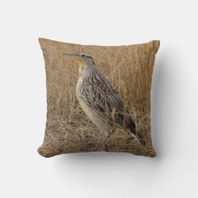 Coussin B57 Meadowlark occidental (Recto)