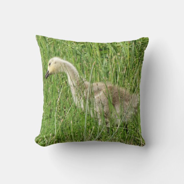 Coussin B58 Gosling d'oie du Canada dans l'herbe (Recto)