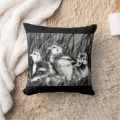 Coussin Baby Ducks (Couverture)