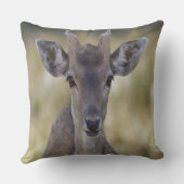 Coussin Baby Fawn Buck (Verso)