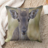 Coussin Baby Fawn Buck (Couverture)