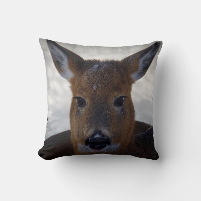 Coussin baie de Deer North (Recto)