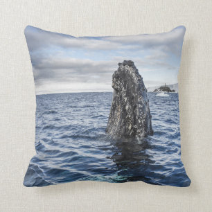 Coussin Baie d'espoir de Spyhops   de baleine de bosse,