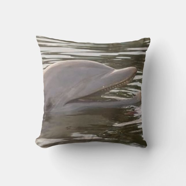 Coussin Baignade avec l'oreiller à lancer des dauphins (Recto)