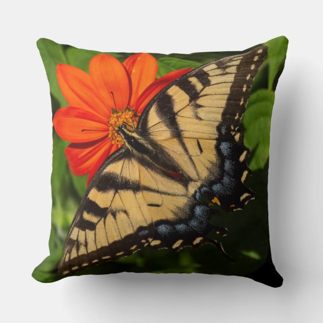 Coussin Baisson orange vif avec papillon sur (Recto)