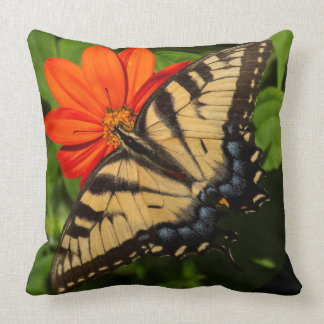 Coussin Baisson orange vif avec papillon sur