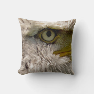 COUSSIN BALD EAGLE