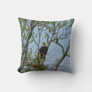 Coussin Bald Eagle Smile
