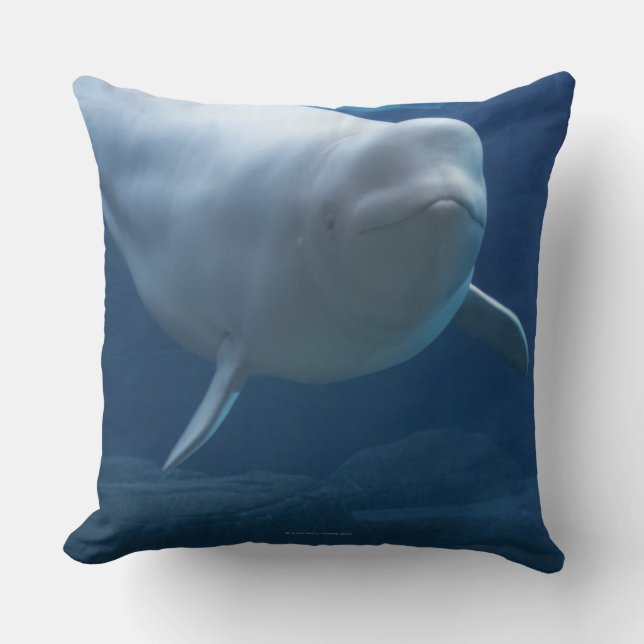 Coussin Baleine de beluga (leucas de Delphinapterus) (Recto)