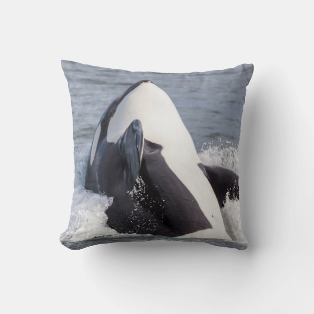 Coussin Baleine d'Orca (Recto)