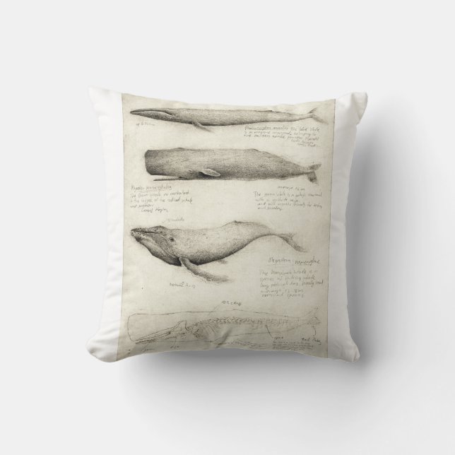 Coussin Baleines (Recto)