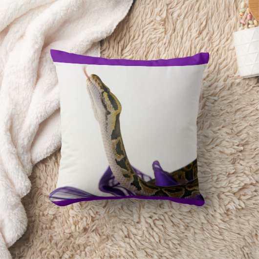 Coussin Ball Python (Couverture)