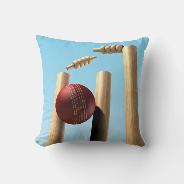 Coussin Balle de cricket frappant les billets (Recto)