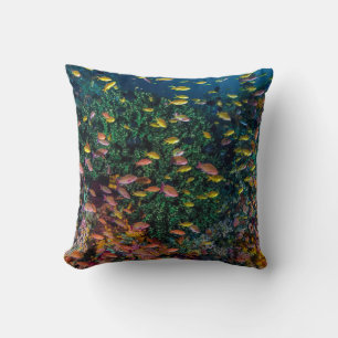 Coussin Bancs de poissons nagent dans le récif