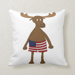 Coussin Bannière étoilée, hein ?