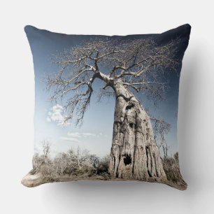 Coussin Baobab dans le parc national des piscines de Mana,