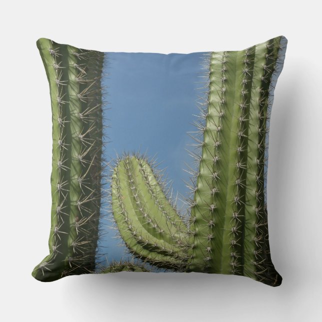 Coussin Barrel Cactus I Desert Photo (Recto)