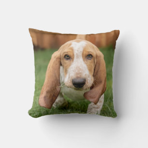 Coussin Basset Hound chiot marchant