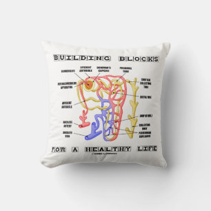 Coussin Bâtir Des Blocs Pour Une Vie Saine Nephron